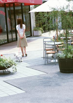 ペットと一緒に楽しむ青山のレストランガイド：特別な日のためのおすすめスポット